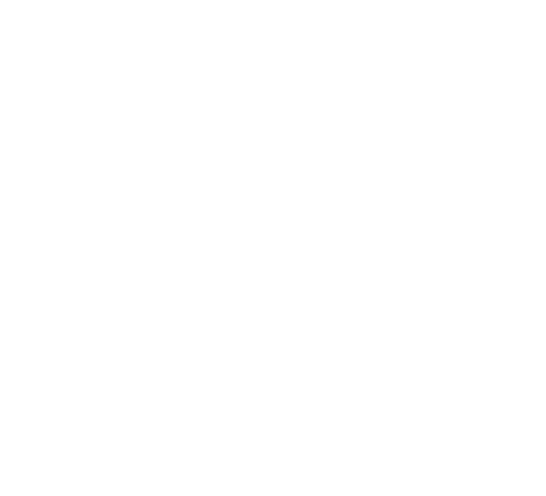 Logo Default
